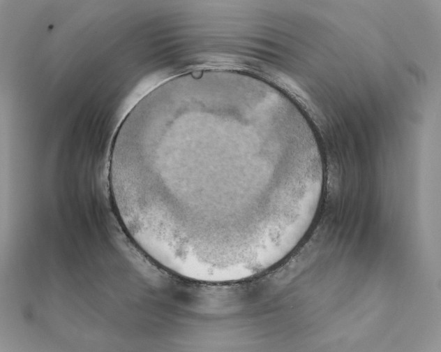 X0000111151378200907281123