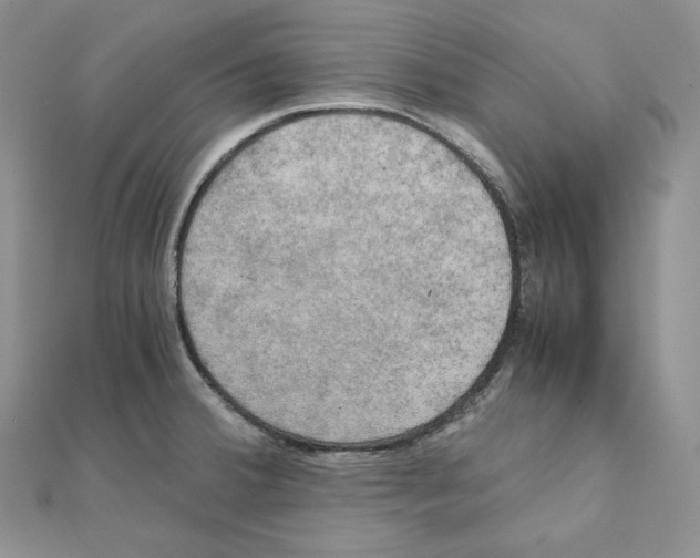 X0000111151380200907281123