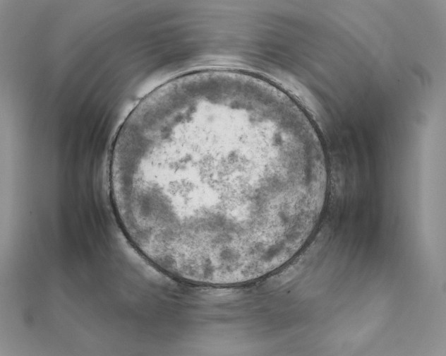 X0000111151382200907281123