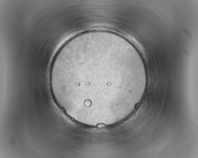 X0000111151384200907281123