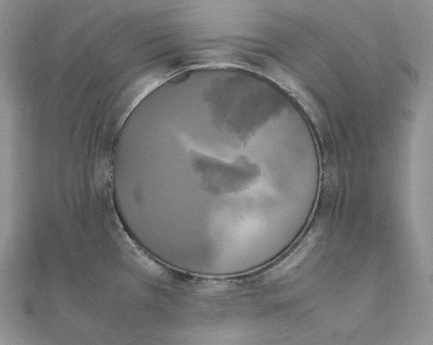 X0000111151385200907281123