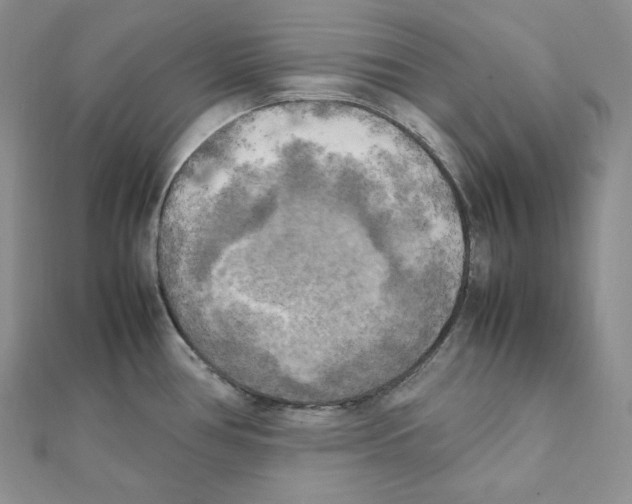 X0000111151386200907281123