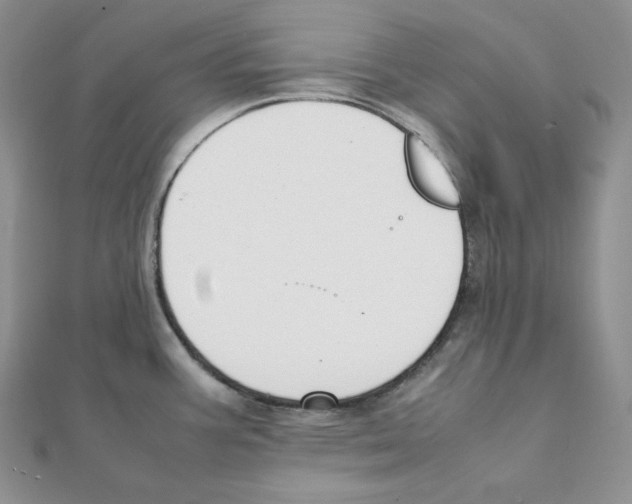 X0000111151387200907281123