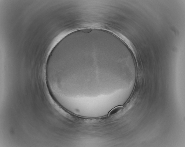 X0000111151389200907281123