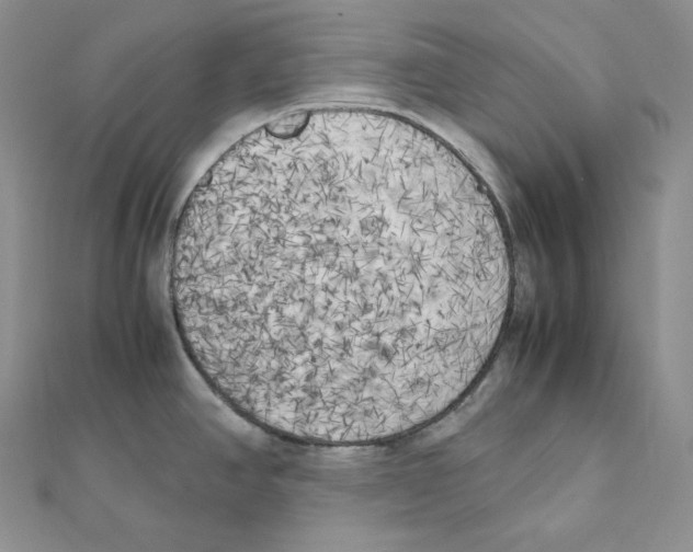 X0000111151390200907281123