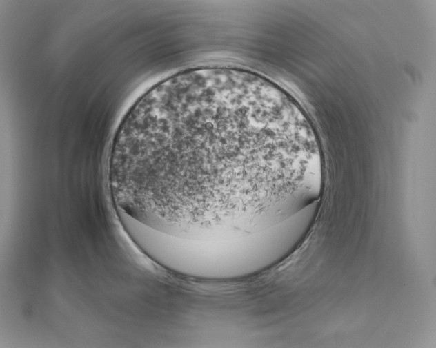 X0000111151392200907281123