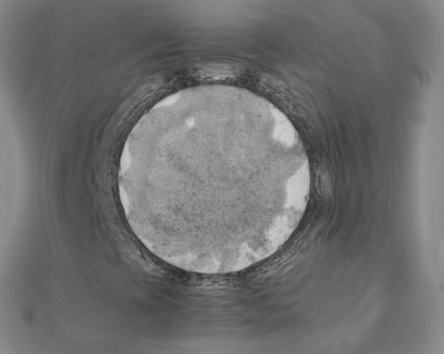 X0000111151393200907281123