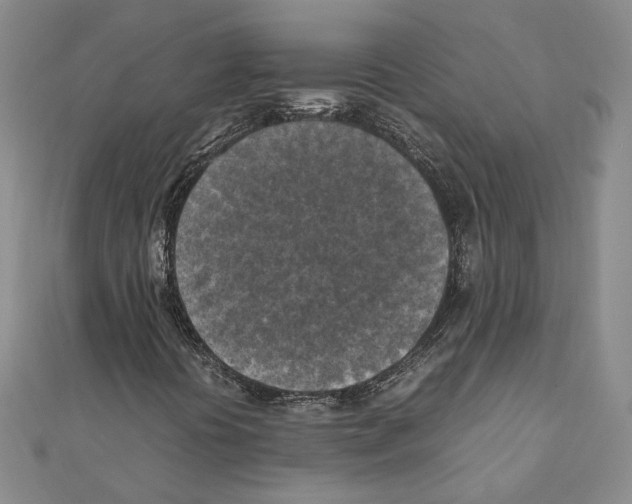 X0000111151394200907281123