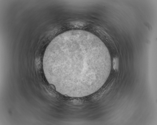 X0000111151395200907281123