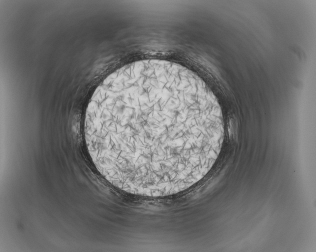 X0000111151396200907281123