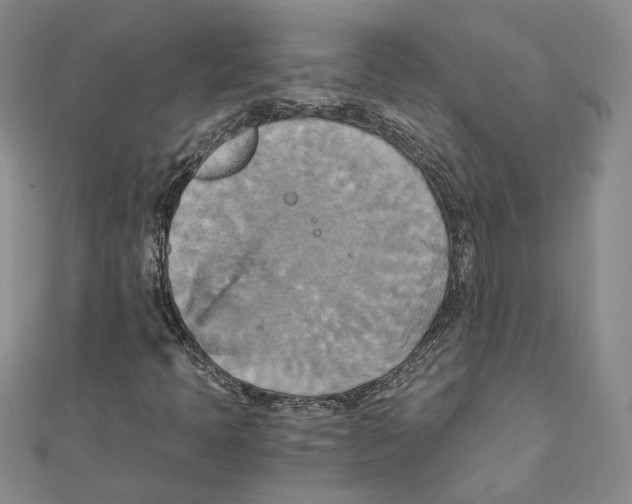 X0000111151397200907281123