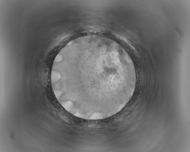 X0000111151399200907281123