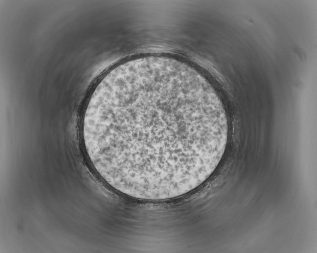 X0000111151404200907281123