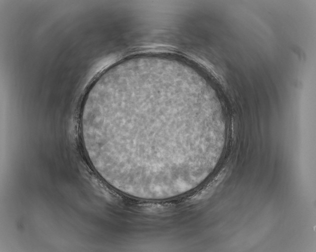 X0000111151405200907281123