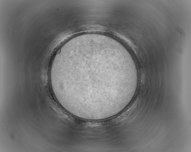 X0000111151407200907281123