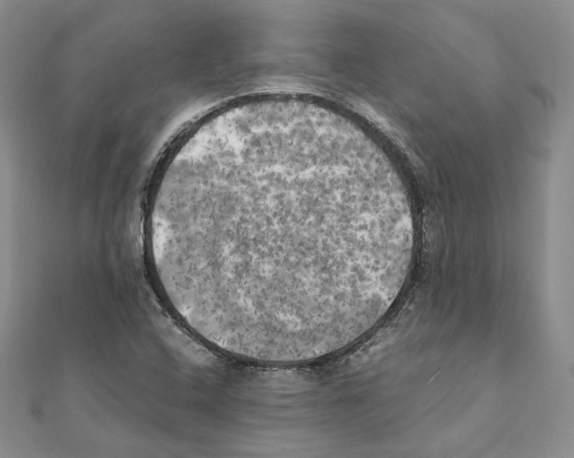 X0000111151408200907281123