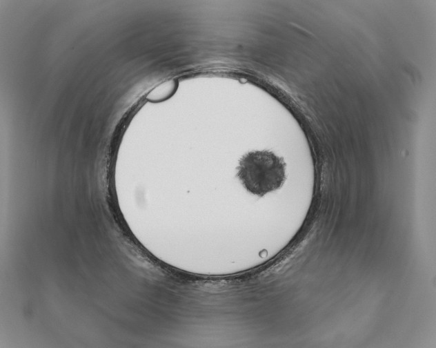 X0000111151410200907281123