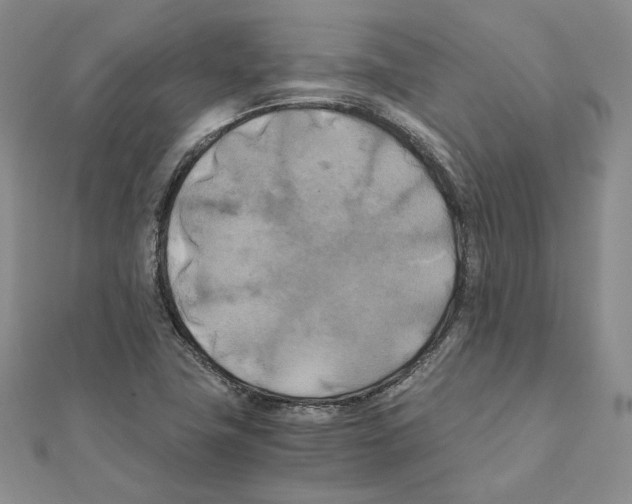 X0000111151411200907281123