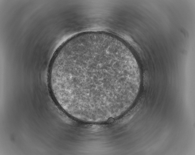 X0000111151412200907281123