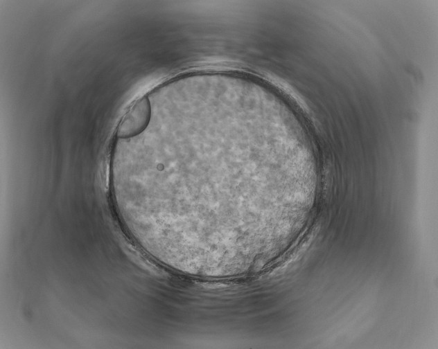 X0000111151413200907281123