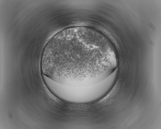 X0000111151417200907281123