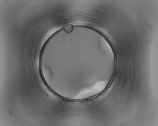 X0000111151418200907281123