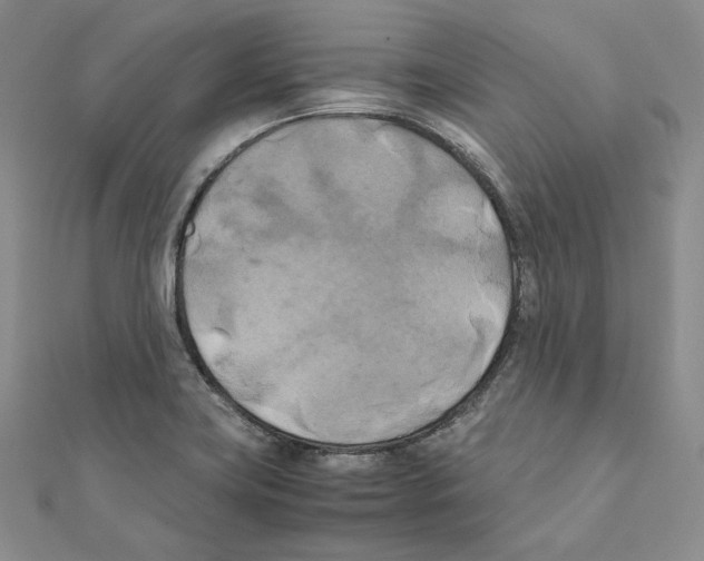 X0000111151419200907281123