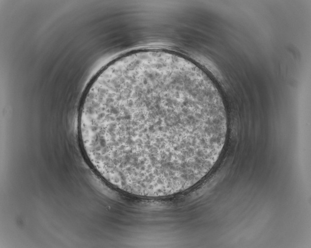 X0000111151420200907281123