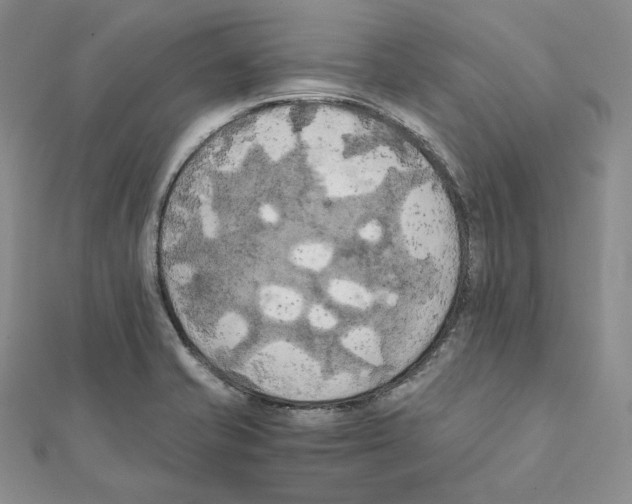 X0000111151421200907281123