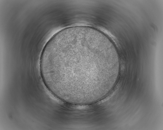 X0000111151423200907281123