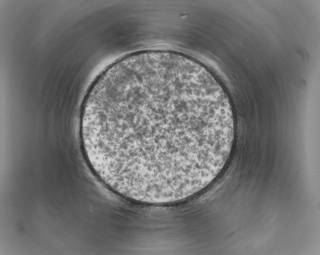 X0000111151424200907281123