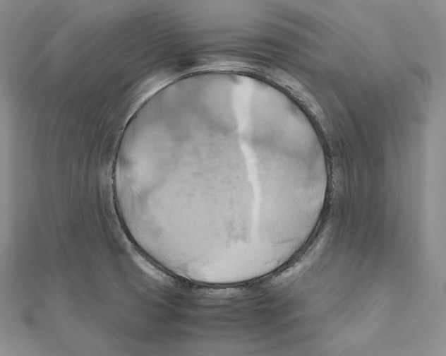 X0000111151425200907281123