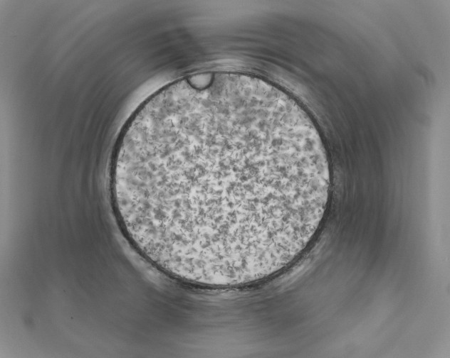 X0000111151426200907281123