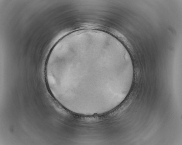 X0000111151427200907281123