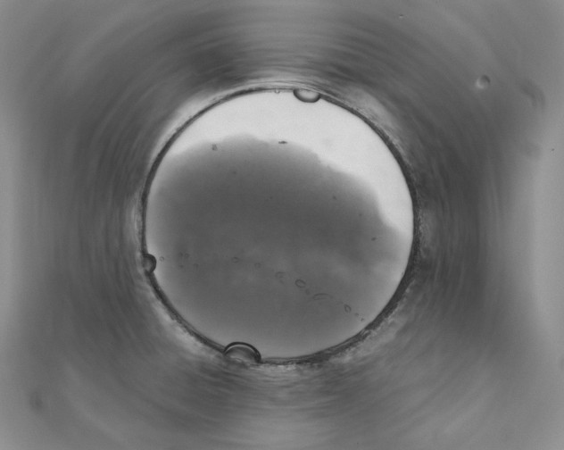 X0000111151428200907281123