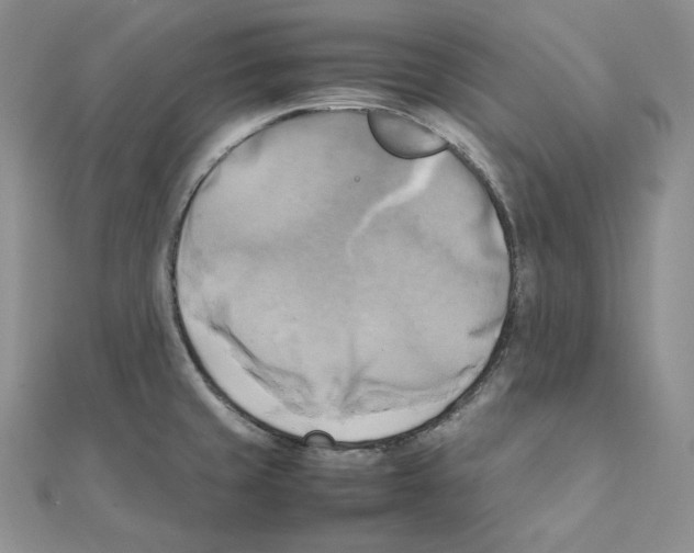 X0000111151429200907281123