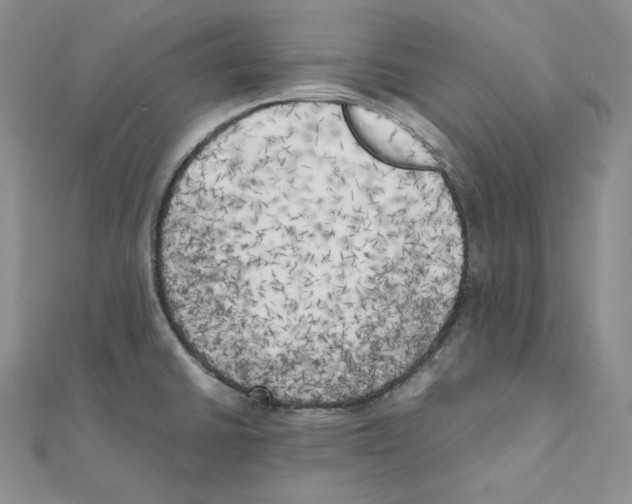 X0000111151430200907281123