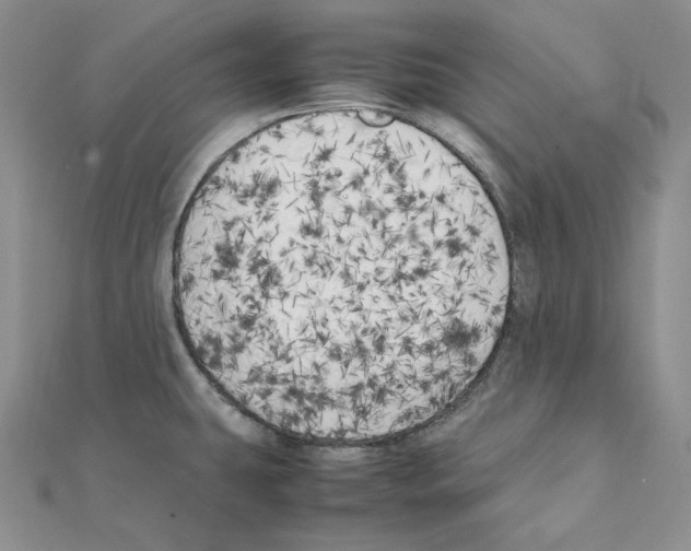 X0000111151431200907281123