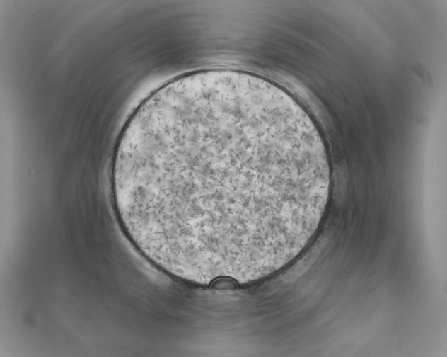 X0000111151432200907281123