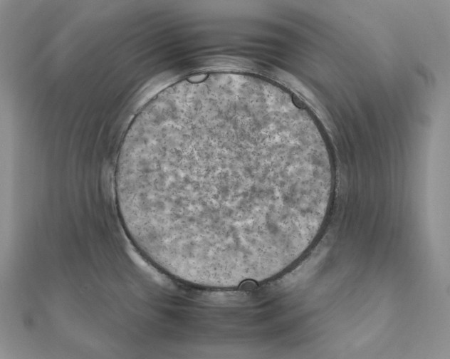 X0000111151433200907281123