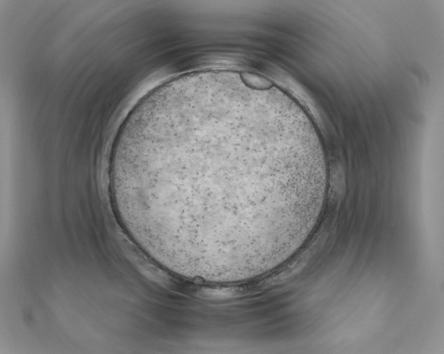 X0000111151435200907281123