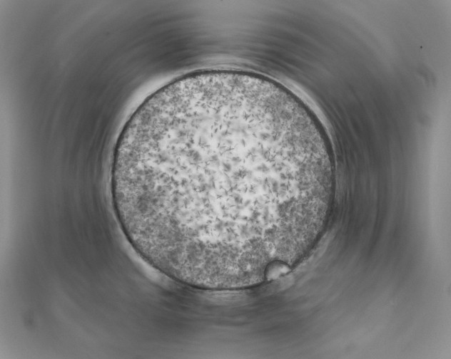 X0000111151437200907281123