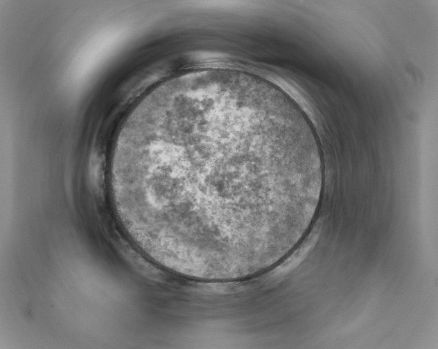 X0000111151438200907281123