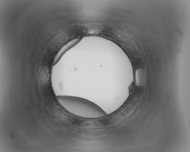 X0000111151443200907281123