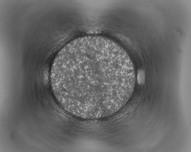 X0000111151444200907281123