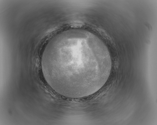 X0000111151445200907281123