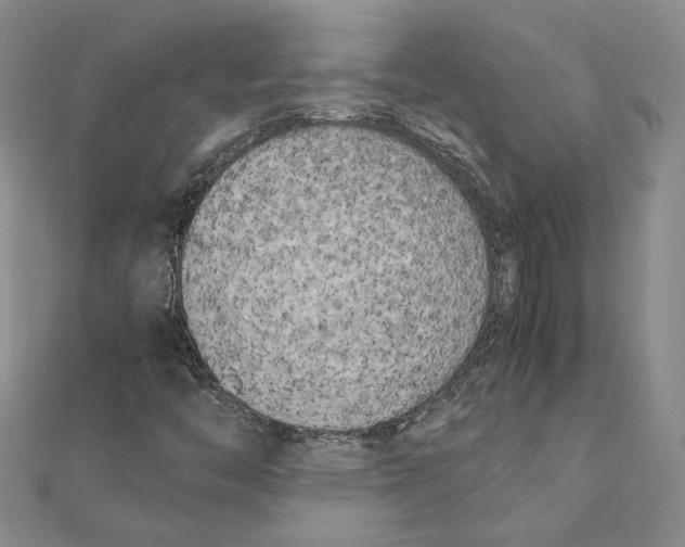 X0000111151446200907281123