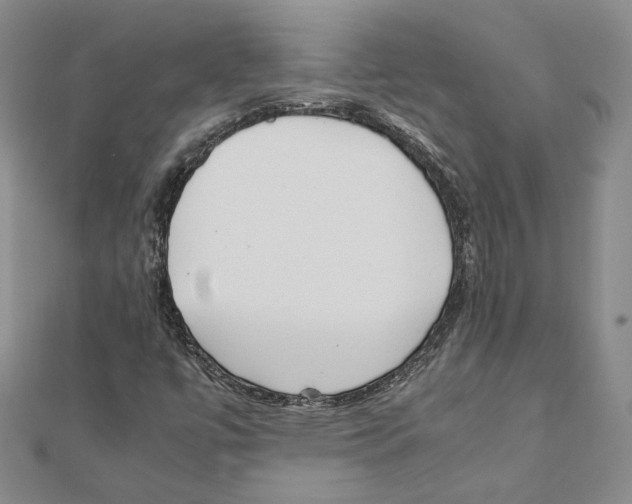 X0000111151447200907281123