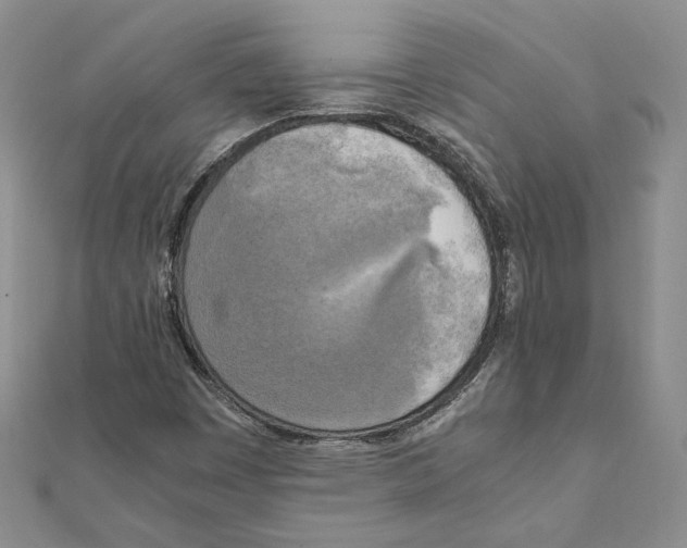 X0000111151449200907281123