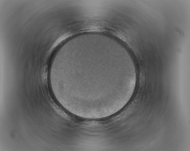 X0000111151450200907281123